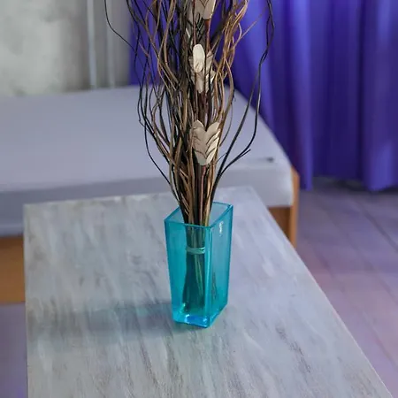 Vila Sazava Villa Sazava (Benesov)